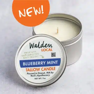 12607Blueberry Mint Candle