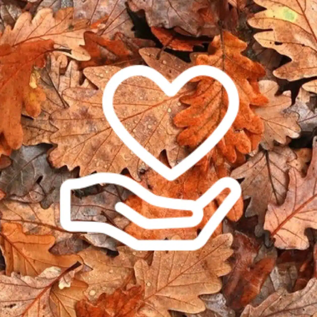 Pine Street Inn Donation