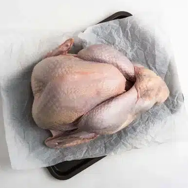 Extra-large Turkey