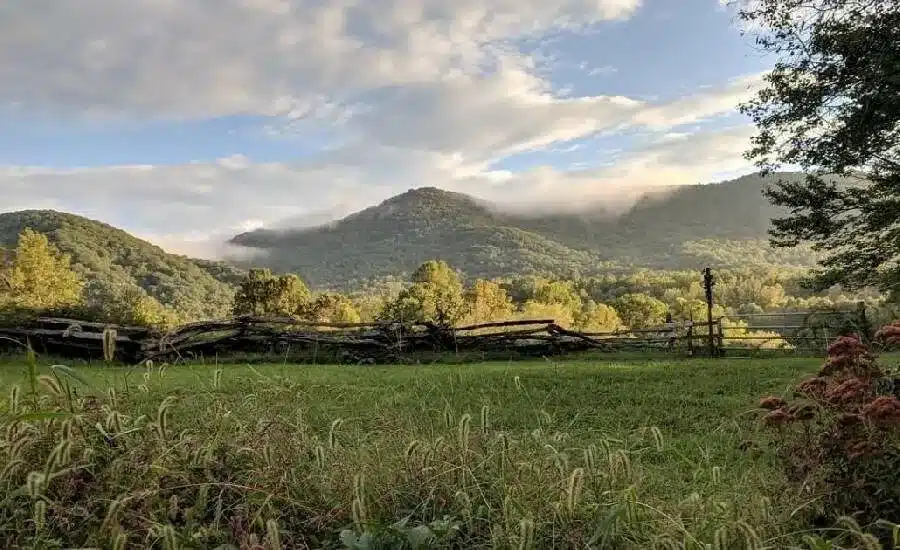 Walden Family Farmers: Jamie and Amy Ager