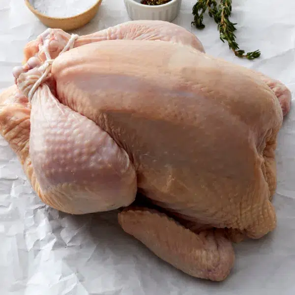 19077Celebration Turkey