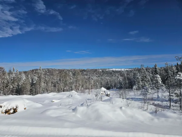 Walden Family Farmers: Riley Harrness