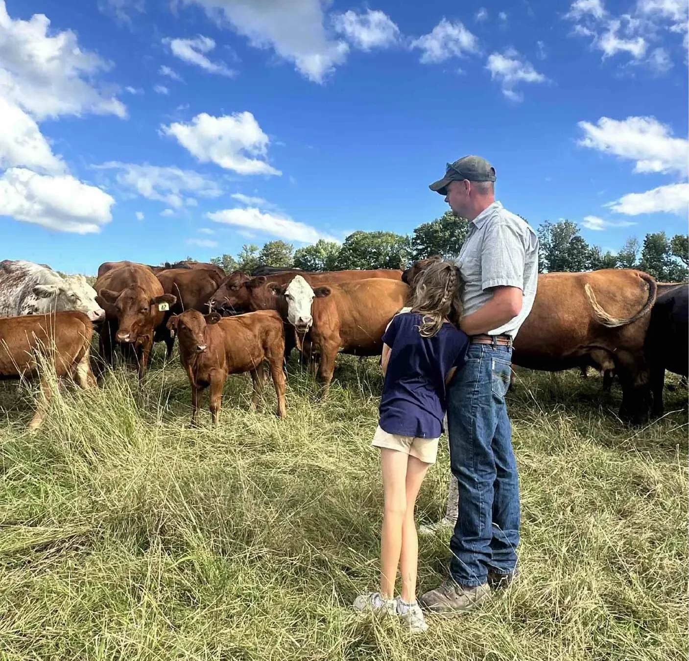 Wilcox Farm pasture