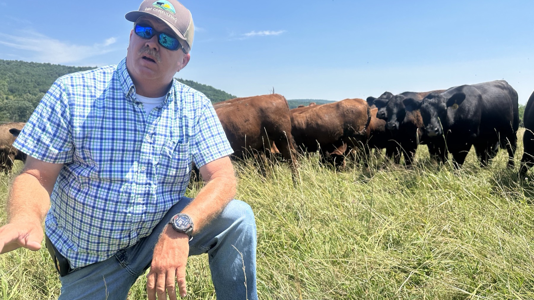 A Walden partner farmer kneeling in pasture with the herd behind
